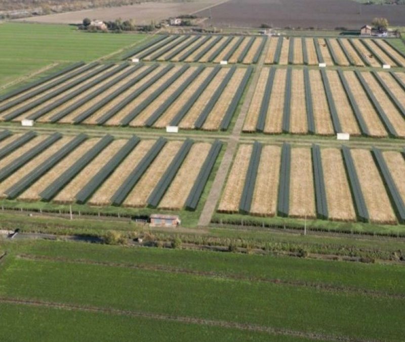 BANDO PNRR fund received for 12 MW of agrivoltaic plants