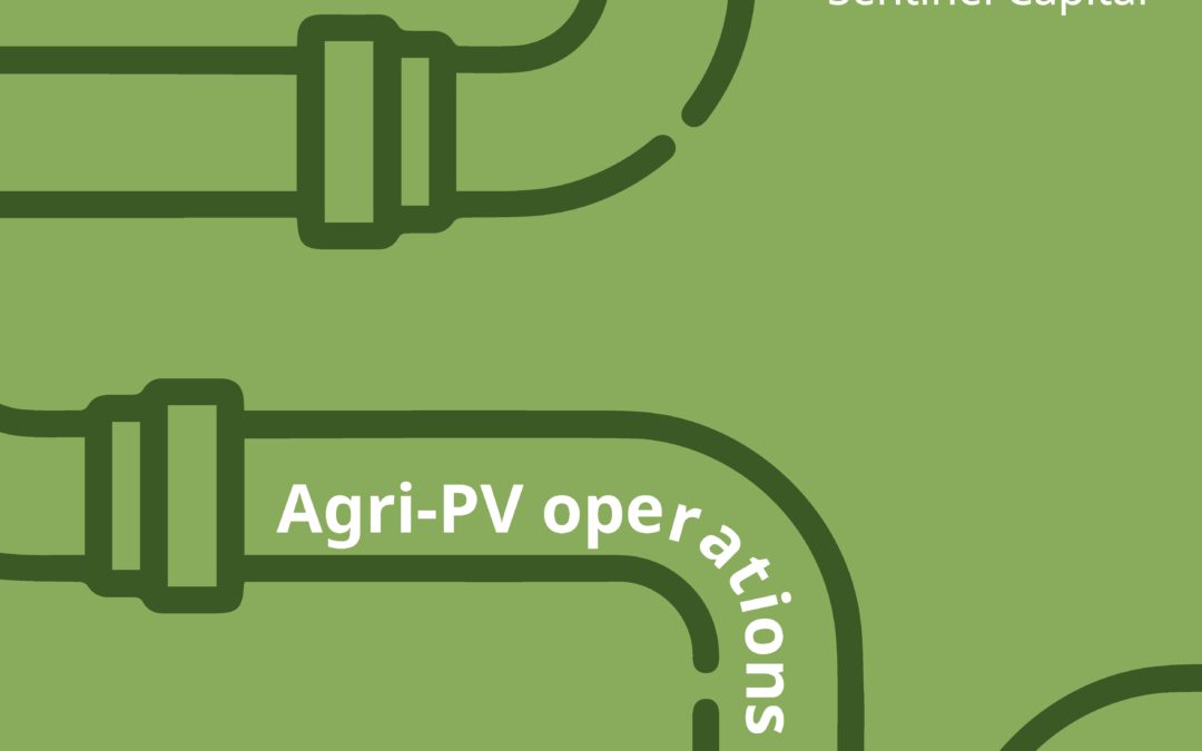 Authorisation for 2 MWp Agri-PV plant received